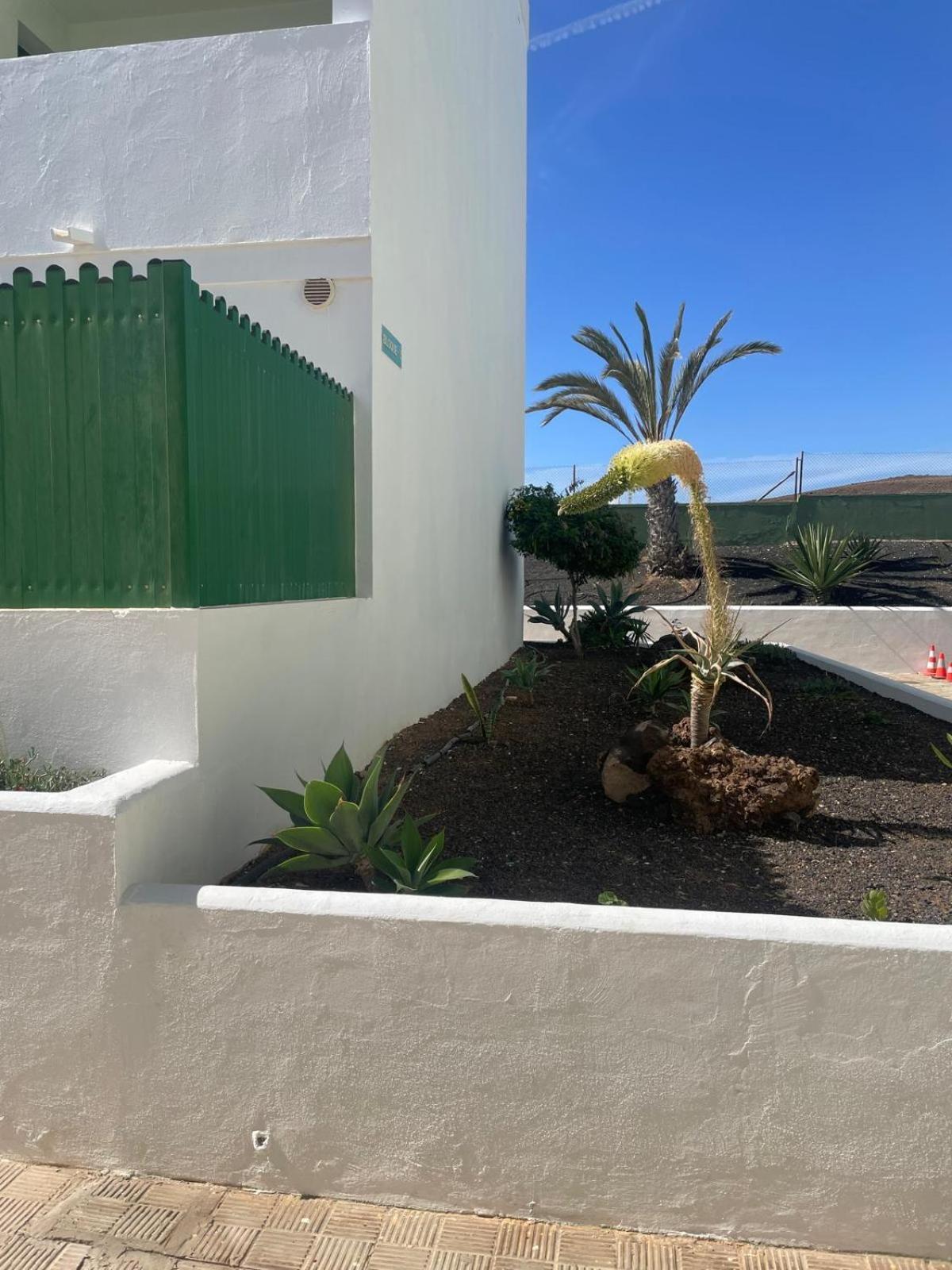 Parque Holandes Fuertesun Dunas Beach מראה חיצוני תמונה